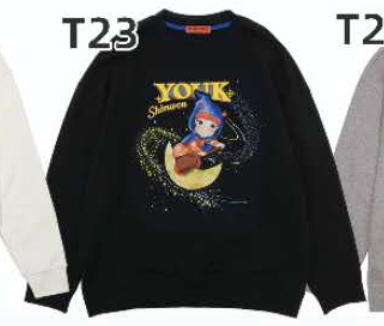 YSW762 ~ Long Sleeves Sweater