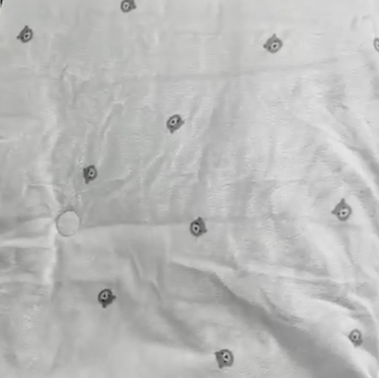 830 - Bear 短毛毛被 (ON SALE)