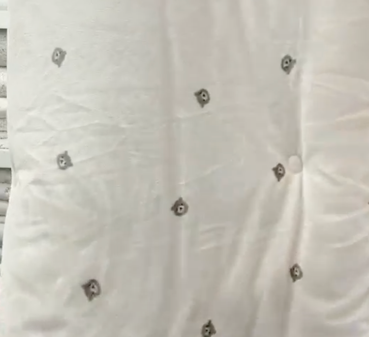 830 - Bear 短毛毛被 (ON SALE)