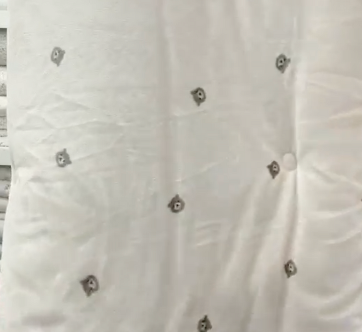 830 - Bear 短毛毛被 (ON SALE)