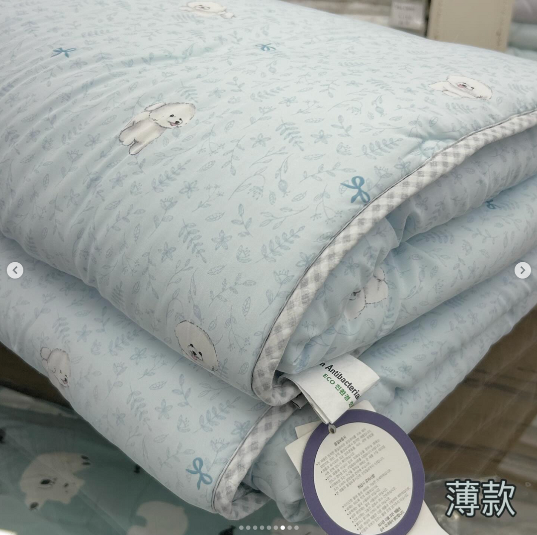 829 - Tencel Bichon Duvet
